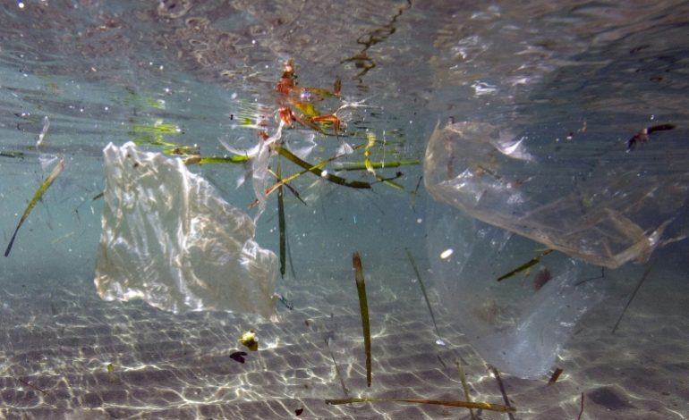 La France, plus gros producteur de déchets plastiques en Méditerranée, selon WWF
