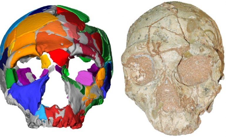 Le plus vieil Homo sapiens non africain a été retrouvé