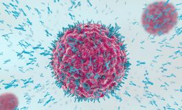 Lien confirmé entre nitrites et risque de cancer colorectal en France