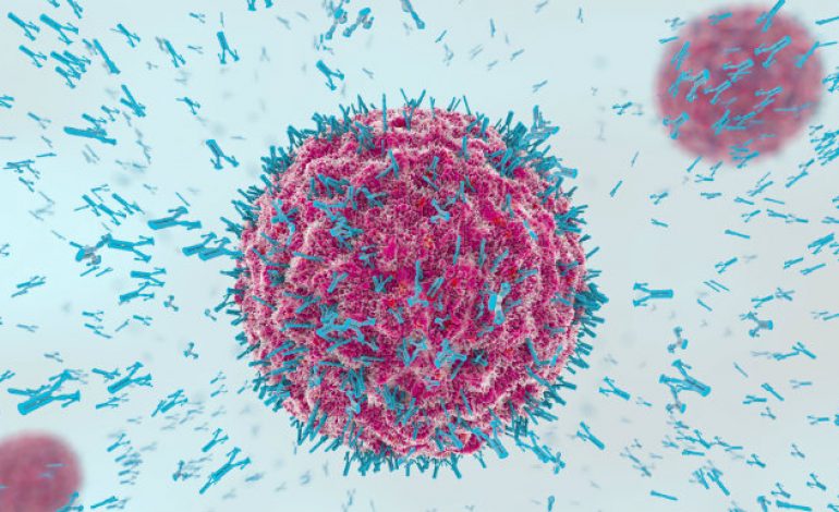 Découverte d’une cellule capable d’attaquer tous les cancers