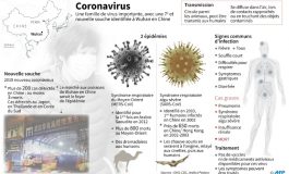 Coronavirus : les Africains se barricadent