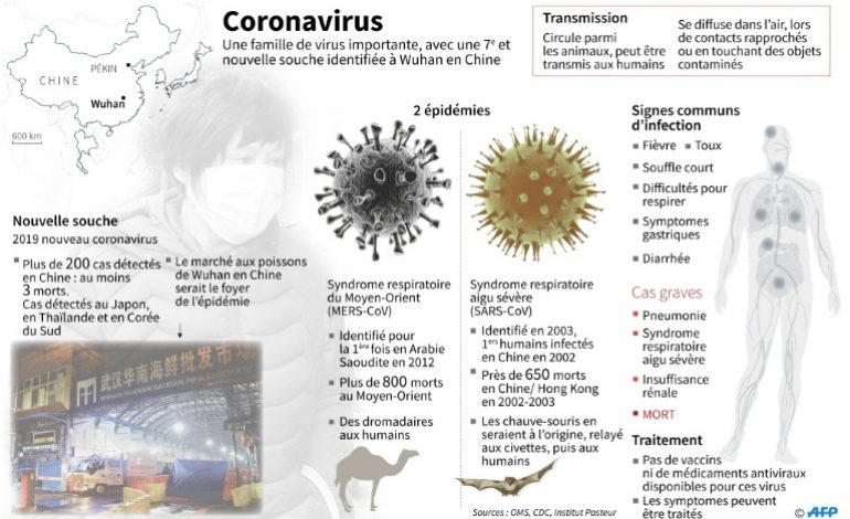 Les pays et territoires touchés par le nouveau coronavirus