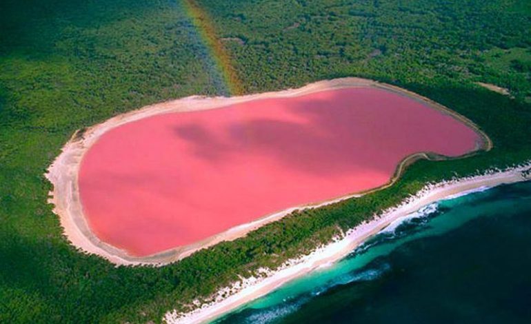 Le Lac Rose parmi les plus beaux lacs colorés au monde
