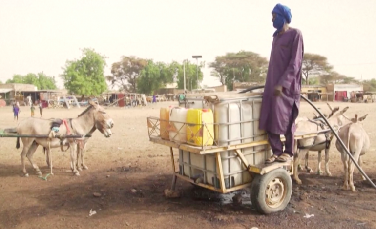 Les éleveurs peuls du Sénégalais durement touchés par les mesures sanitaires