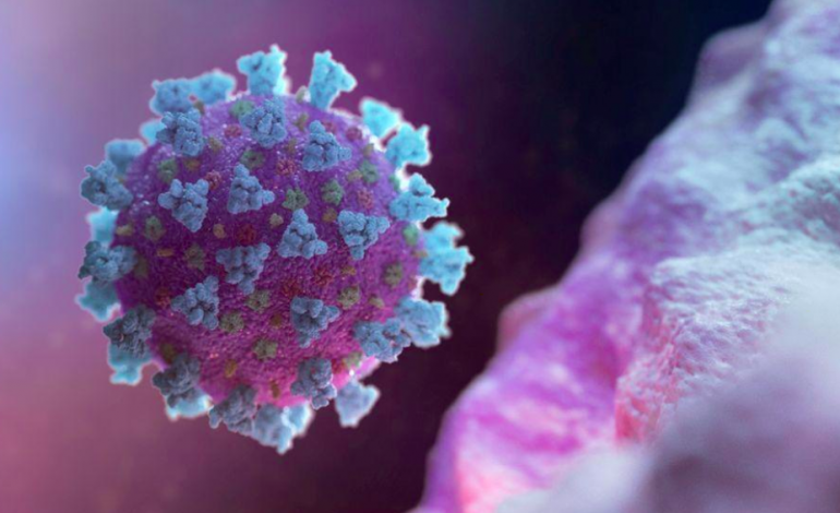 Le coronavirus se propage: 15 millions de cas dans le monde, dont huit en Amérique