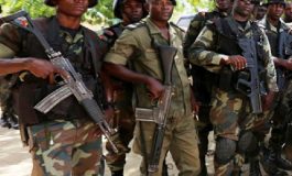 Cinq soldats camerounais tués dans la péninsule de Bakassi