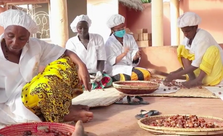 Le karité fait travailler et vivre les femmes Sénégalaises