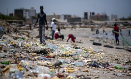 Péril sur l'environnement au Sénégal