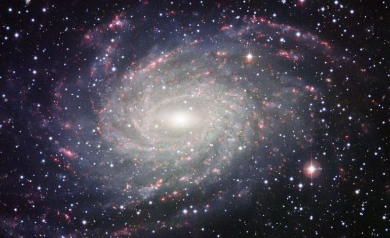 Un «sursaut radio rapide» détecté au sein de notre galaxie