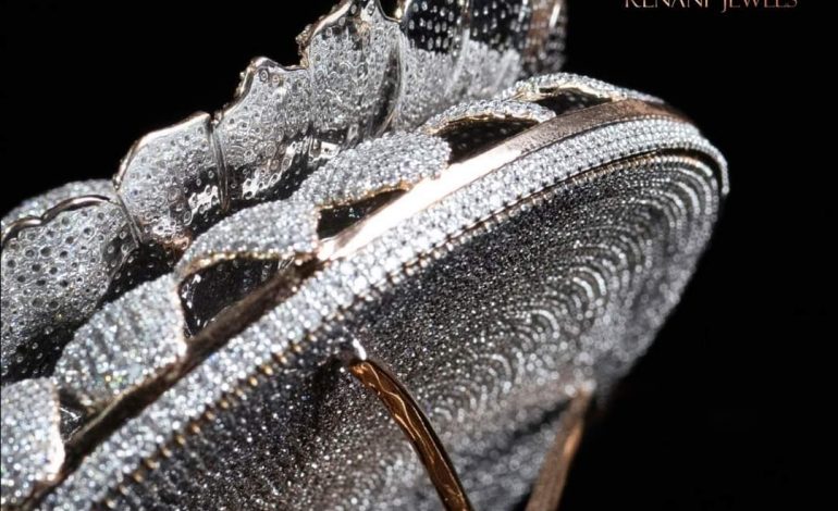 Une bague sertie de 12.638 diamants au Guinness mondial des records