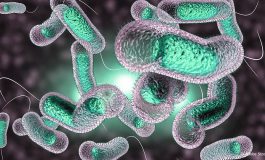 L’épidémie de choléra fait 79 morts depuis le début de l'année au Nigéria