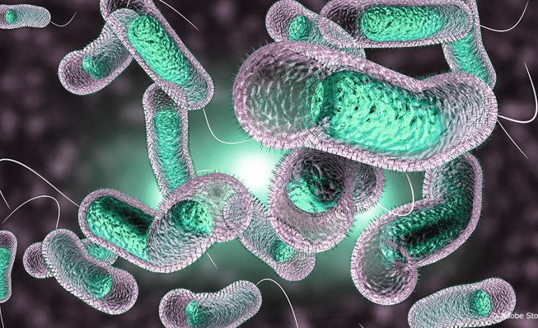 L’épidémie de choléra fait 79 morts depuis le début de l’année au Nigéria