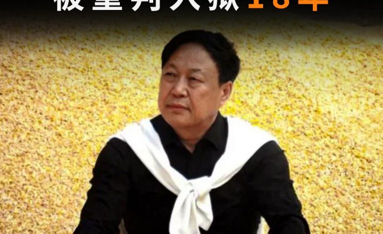 Le milliardaire chinois Sun Dawu, un patron contestataire condamné à 18 ans de prison