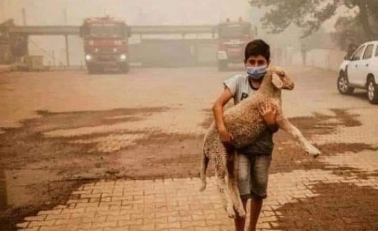 Quatrième jour de lutte contre les feux de forêt dans le sud de la Turquie