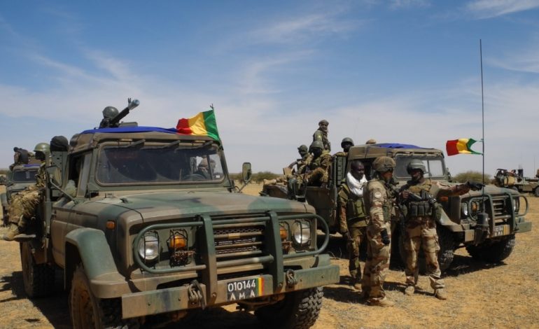 Plusieurs hauts gradés Maliens «retenus» par leur troupe à Boni, après une embuscade meurtrière