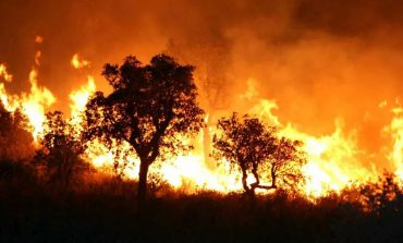 Cinq morts dans des incendies au nord de l'Algérie, notamment en Kabylie