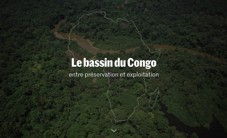 Le Congo va planter 40.000 hectares de forêt pour séquestrer plus dix millions de tonnes de carbone