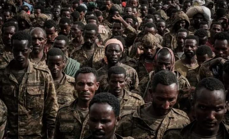 Le Gouvernement fédéral d’Éthiopie et les rebelles du Tigré signent un accord de cessation de «désarmement méthodique»