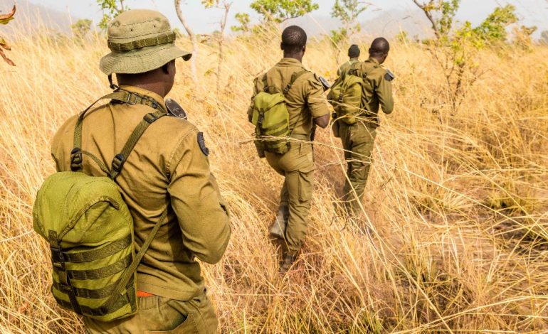 Cinq gardes forestiers et un soldat tués dans le nord du Bénin