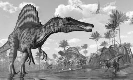 Le règne des dinosaures a pris fin au printemps boréal lors de la chute d'un astéroïde géant