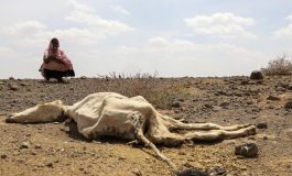 L'Unicef tire la sonnette d'alarme sur la crise alimentaire en Somalie