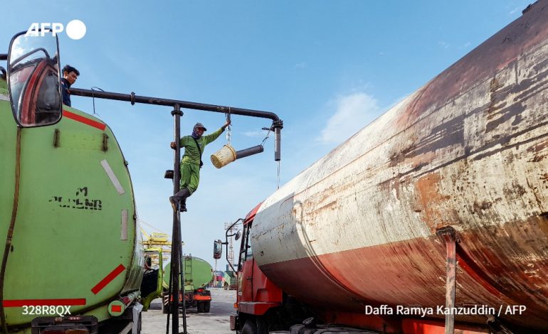 L’Indonésie, premier producteur mondial, suspend toutes ses exportations d’huile de palme