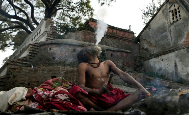 Le Népal, haut-lieu de la vague hippie des années 60-70, envisage de relancer sa « ganja »