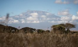 Un tiers des glaciers classés au patrimoine mondial de l'Unesco vont disparaître d'ici à 2050 dont ceux du Kilimandjaro
