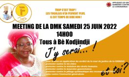 Le premier meeting de l'opposition togolaise après deux ans d'interdiction