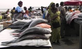 Le Portugal a importé du Sénégal 2.500 tonnes de poisson pour 13 milliards de francs CFA en 2022