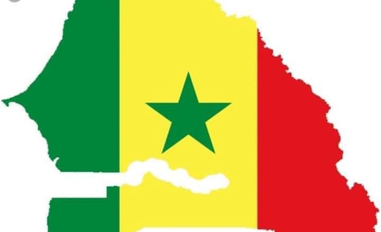 Pour une démocratie directe au Sénégal – Par Mouhamadou Moustapha Mbengue