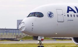 Le vol AF291 d'Air France victime de collision avec des oiseaux fait demi-tour, le nez et le radar détruits