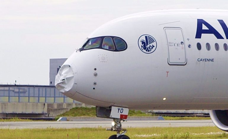 Le vol AF291 d’Air France victime de collision avec des oiseaux fait demi-tour, le nez et le radar détruits