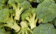 Manger des brocolis ou du chou permet de limiter la sévérité des allergies cutanées