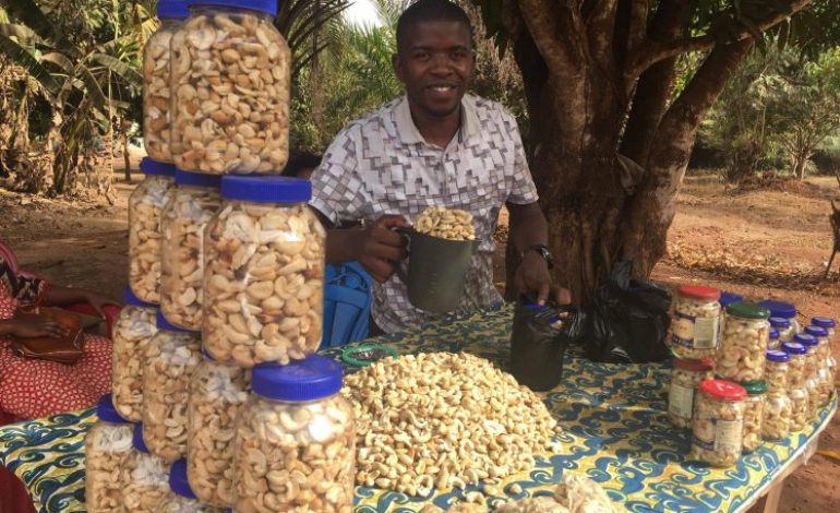 L’effondrement de la demande mondiale de noix de cajou pousse l’industrie ivoirienne au bord du gouffre