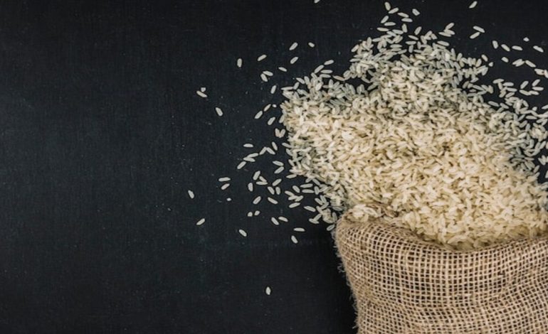 L’envol des prix du riz préfigure les risques alimentaires liés au climat