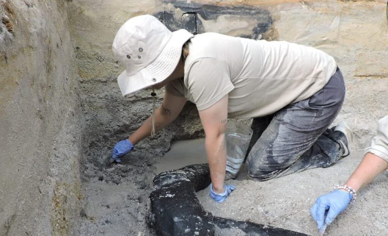 Une structure en bois datant d’au moins 476.000 ans découverte en Zambie