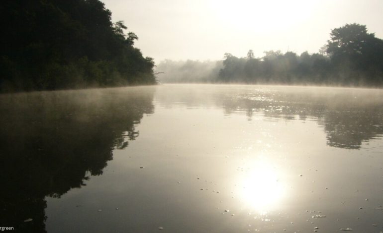 Le Parc national du Niokolo-Koba sort de la Liste du patrimoine mondial en péril