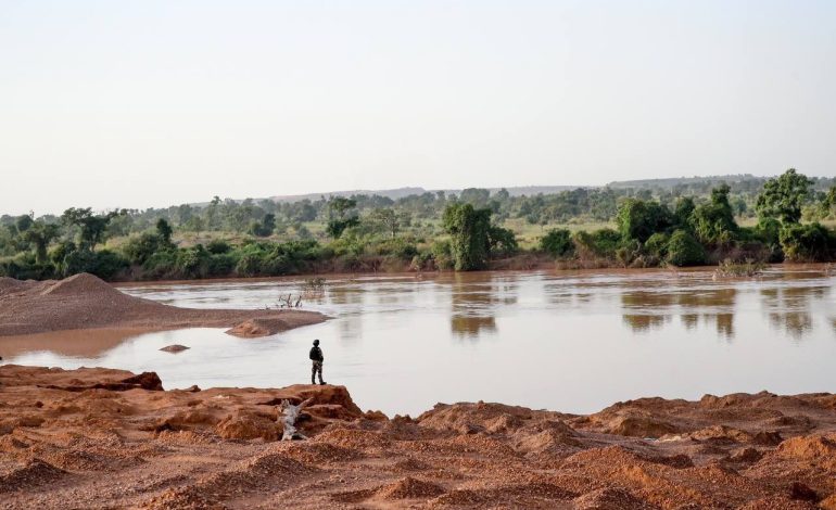 Plus de 700 hectares de riz inondés et 1000 producteurs impactés par la crue du fleuve Sénégal dans la région de Matam