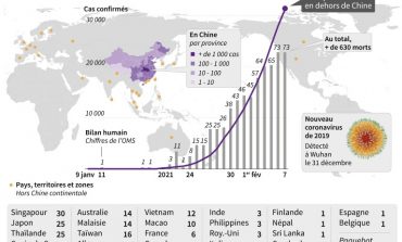 Plus de 720 morts dûs au coronavirus