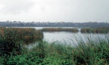Les zones humides nourrissent les hommes et les oiseaux qui sont des indicateurs pour la qualité de l’environnement déclare Ibrahima Hanne
