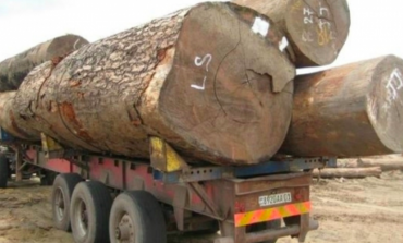 Macky Sall n'écarte pas un durcissement des peines contre les trafiquants de bois