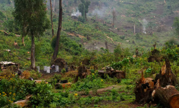 Le Gabon reçoit des fonds pour ses efforts contre la déforestation