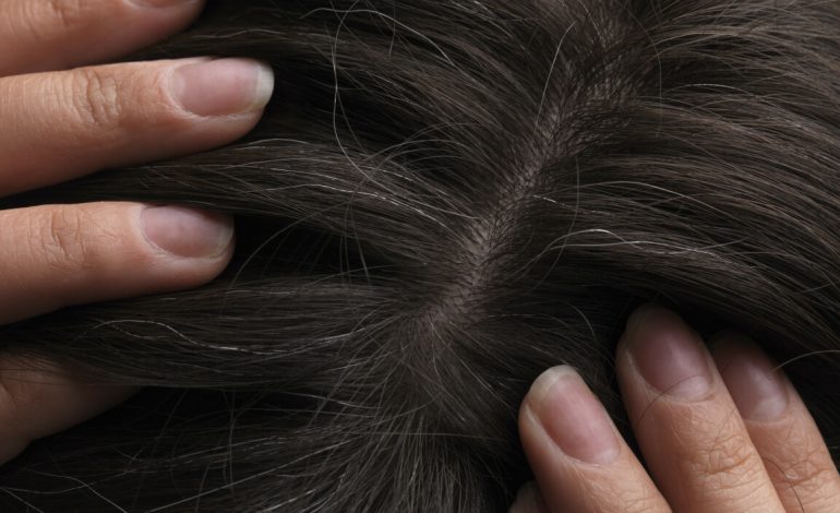 Des cheveux pour nettoyer les océans: les coiffeurs britanniques s’engagent pour la planète