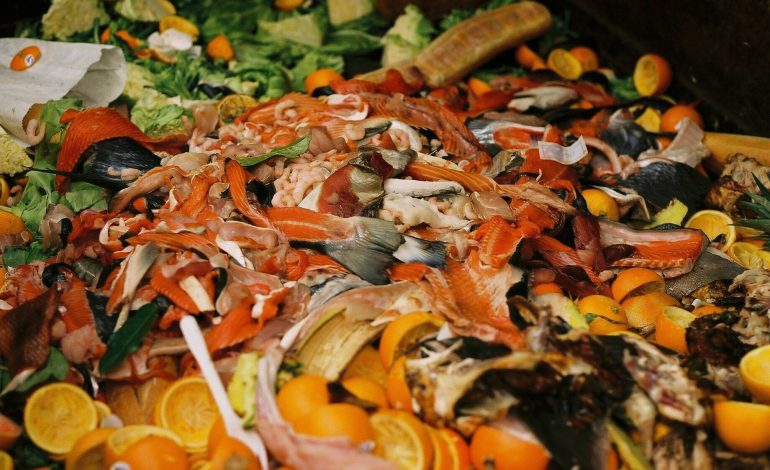 Près de 153 millions de personnes sous-alimentées en moins si le gaspillage alimentaire était divisé par deux