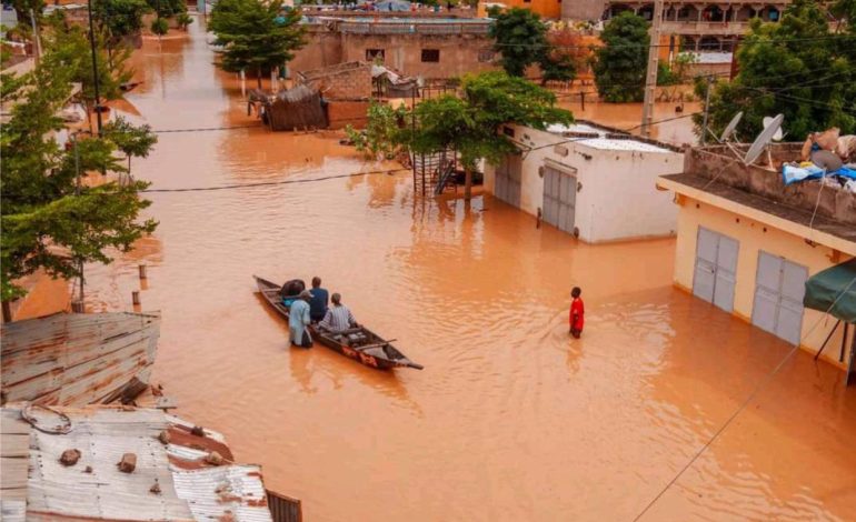 Fleuve Sénégal et Falémé : tendance haussière à Matam et Podor ; baissière à Oualia (Kidira) et Bakel